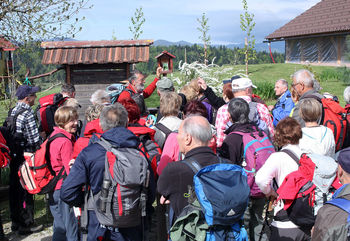 Pohod Zimzelenov po okolici  Hotedršice