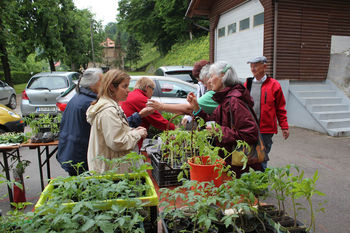 Ložanska Flancarija