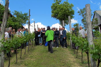 Člani VVD Vojnik nadaljujejo z izobraževanjem