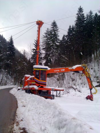 Gozdovi, zelena pljuča planeta