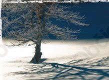 Zimski urniki TICev, muzejev, restavracij in gostiln