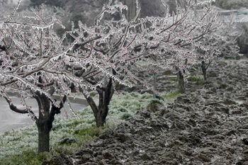 Poziv oškodovancem po žledu