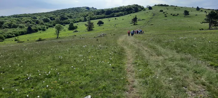Vremščica, 14. 5. 2026