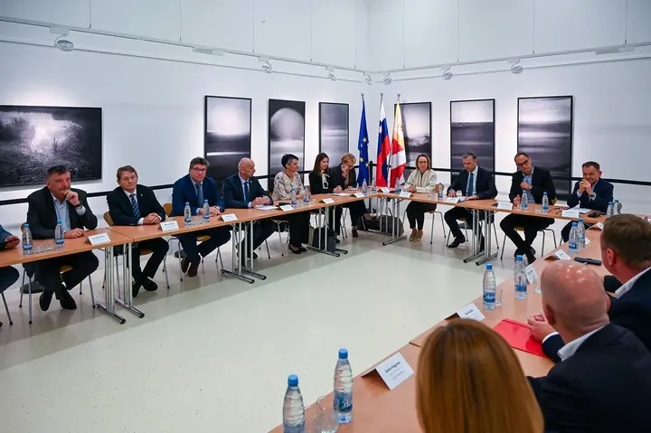 Vir: novomesto.si