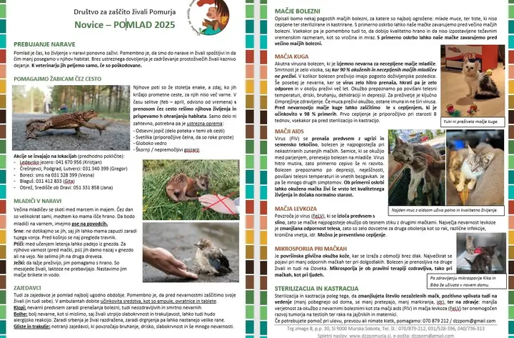 Novice – POMLAD 2025 (Društvo za zaščito živali Pomurja)