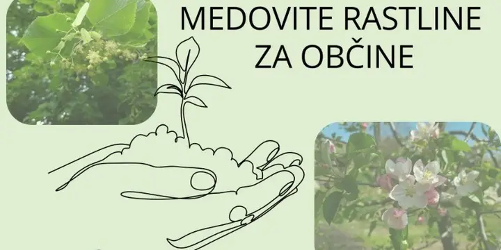 Medovite rastline za občine