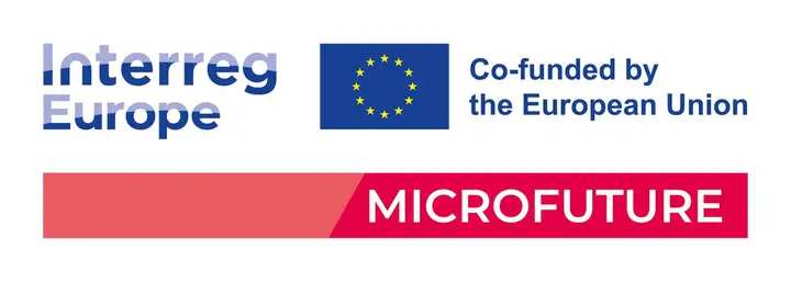Predstavitev uspešnih zgodb mikrofinanciranja v socialni ekonomiji na srečanju deležnikov v Sloveniji