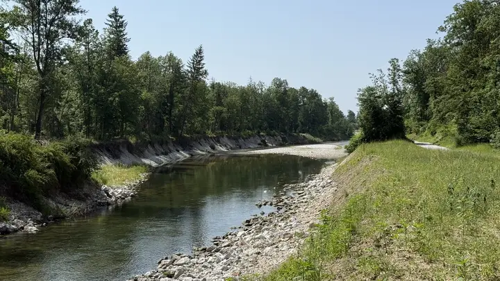 Kamniška Bistrica ni kopalna reka
