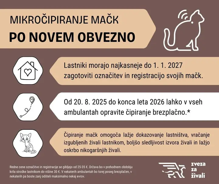Čipiranje mačk