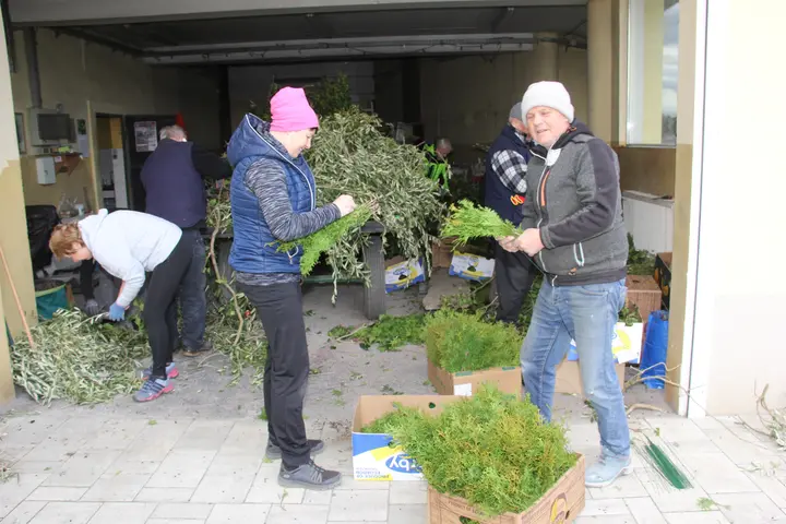 Butara velikanka pred cerkvijo v Šentvidu pri Lukovici
