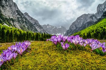 Odprtje samostojne fotografske razstave Francija Ferjana: Narava