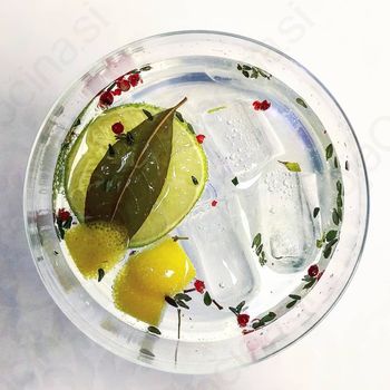 Večerja z gini – spajanje slovenske kulinarike s slovenskim ginom