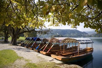 16. Predšmarni večer na Mlinem