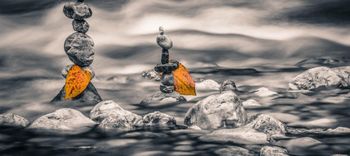 Razstava v Infocentru Triglavska roža Bled