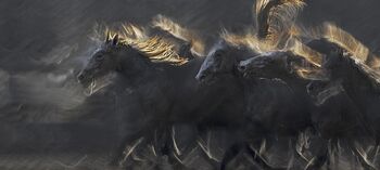 Fotografska razstava Milana Malovrha: Lipicanci - ZAPRTA