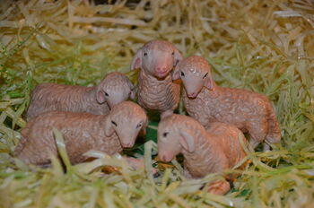 Razstava preko 150 različnih božičnih jaslic