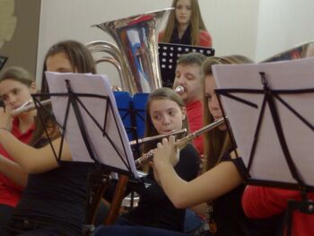 Božično-novoletni koncert Glasbene šole Radovljica