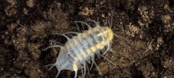 Interaktivna fotografska razstava Skrito življenje podzemlja