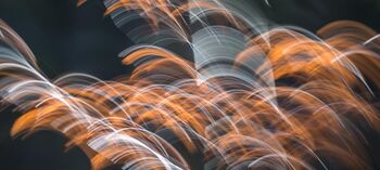 Avtorska fotografska razstava Andreje Peklaj: Domovanje skrivnosti - ples s svetlobo