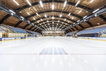 Zaki's flip - mednarodno tekmovanje v umetnostnem drsanju za mlajše kategorije