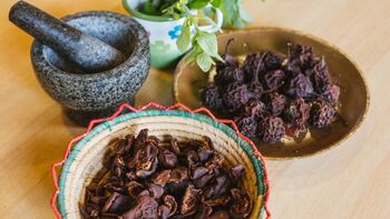 Dogodek ob kulturnem prazniku