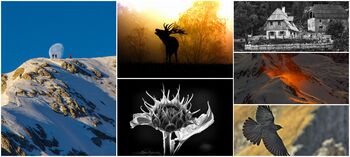 Odprtje XXX. tekmovalne klubske razstave Foto kluba TNP