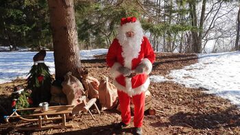 Družinska božična pustolovščina v gozdu