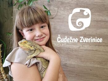 Dobrodelni dogodek Živalske zgodbe