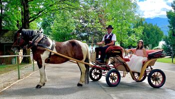 Pravljični torek: s princeso in kočijo na grad