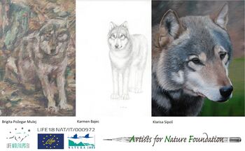 Street Art festival: Življenje z volkovi