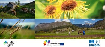 Predavanje dr. Žiga Zwittra: Divje rastline kot živi pomniki vojnih grozot