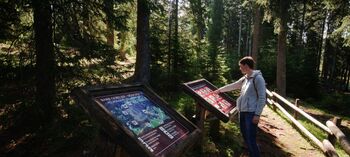 Vodenje po barju Goreljek