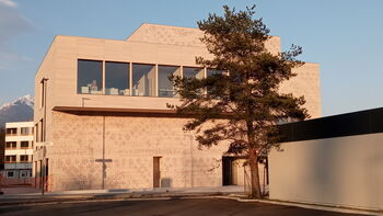 Kino klub - svetovni dan zavedanja narcistične zlorabe