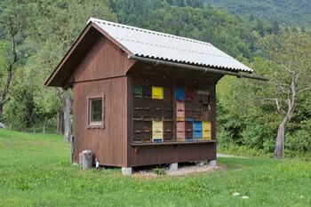 Predavanje: dr. Borut Juvanec, značilnosti slovenskega čebelnjaka