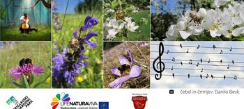 Nastop učencev Glasbene šole Radovljica in predavanje dr. Danila Bevka