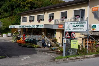 Izbira in sajenje balkonskih rastlin