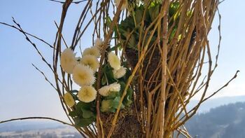 Razstava pomladnih cvetličnih kreacij dijakov BC Naklo