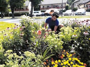 Delavnica: Zasaditev gredic z uporabnimi medovitimi zelišči in trajnicami