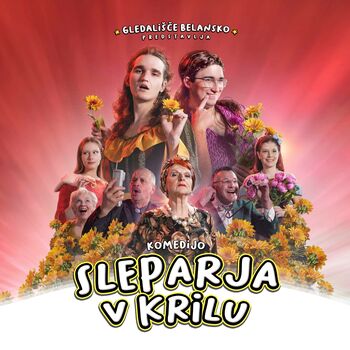 Gledališka predstava: Sleparja v krilu