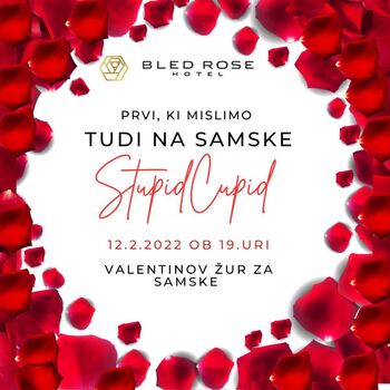Stupid Cupid: valentinov žur za samske