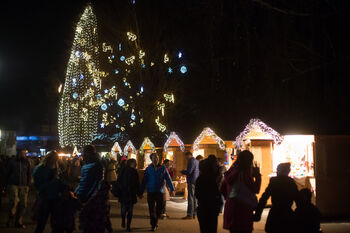 Zimska pravljica 2021/22