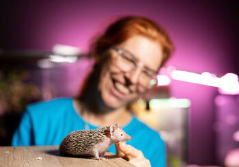 Razstava: Čudovite živali med jesenskimi počitnicami