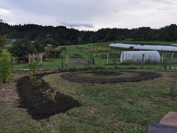 Otvoritev labirinta slovenskih vrtnic