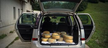 Filmski večer: Mlekarstvo, sadjarstvo in turšca