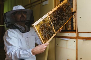 Delavnica za ponudnike turističnih produktov in vodenih doživetij