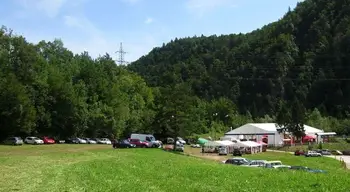 Velika ribiška veselica in festival ribjih dobrot