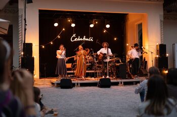 ODPOVEDANO: Koncerti z razgledom: Čedahuči