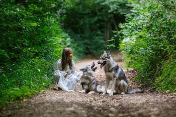 Z volkovi v Začaran gozd