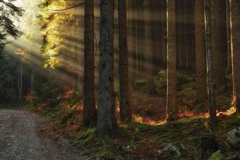 Odprtje XXXI. tekmovalne klubske razstavečlanov Foto kluba Triglavski narodni park
