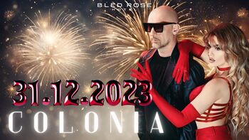 Novo leto v Bled Rose Hotelu